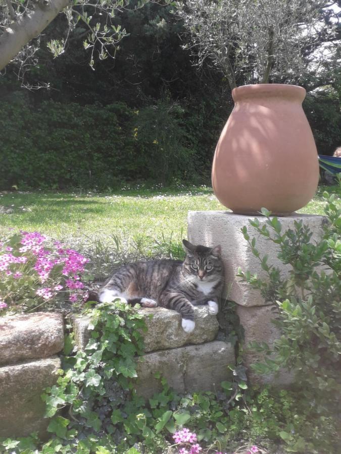 Mas La Maison de mon Père  Proche AVIGNON à PUJAUT Exterior foto